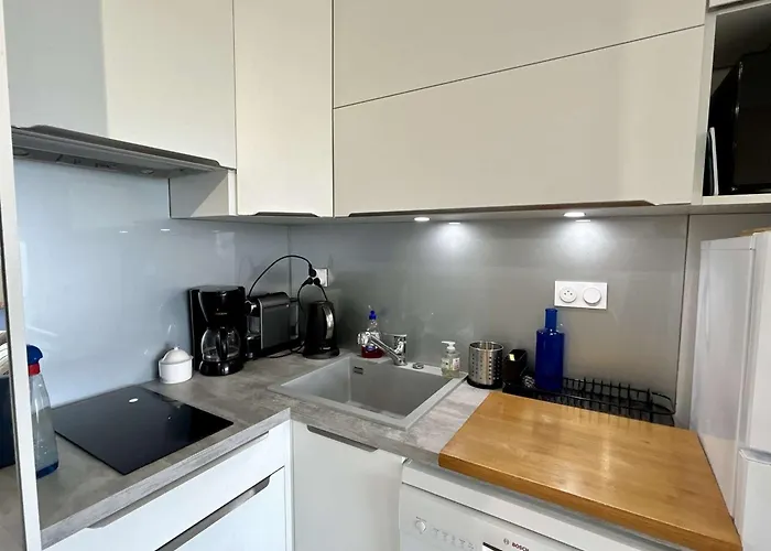 Avec Terrasse, Vue Sur L'ocean Et Parking A - Fr-1-494-33 Apartment